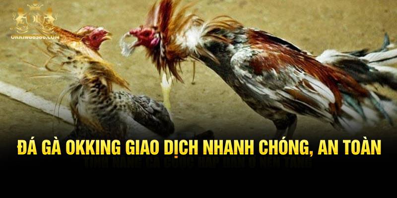 Đá gà Okking giao dịch nhanh chóng, an toàn